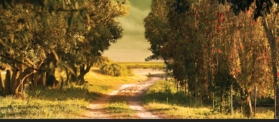 Passage to the Salt Lake